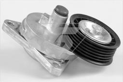 Rolka napinacza, pasek klinowy wielorowkowy Hutchinson T0313