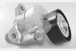 Rolka napinacza, pasek klinowy wielorowkowy Hutchinson T0555