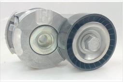 Rolka napinacza, pasek klinowy wielorowkowy Hutchinson T0705