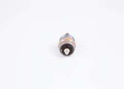 Elektromagnes Bosch F002D13642