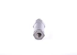 Reduktor ciśnienia, system Common Rail Bosch 1110010020