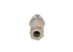 Reduktor ciśnienia, system Common Rail Bosch 1110010020