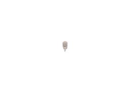 Żarówka, lampa kierunkowskazu Bosch 1987301505
