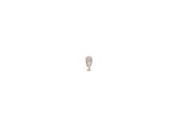 Żarówka, lampa kierunkowskazu Bosch 1987301505