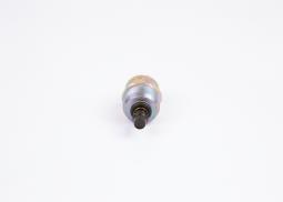 Elektromagnes Bosch F002D13642