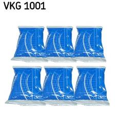 Smar SKF VKG1001