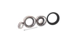 Zestaw łożysk koła SKF VKBA3519