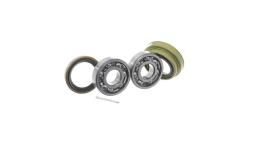 Zestaw łożysk koła SKF VKBA3700