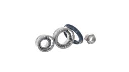 Zestaw łożysk koła SKF VKBA532