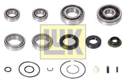 Zestaw naprawczy, mechaniczna skrzynia biegów LUK 462038110