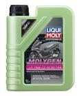 Olej silnikowy LIQUI MOLY 21719