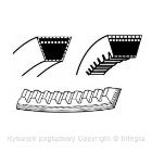 Pasek klinowy wielorowkowy SKF VKMV6PK1157R